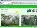 Paisageo. Cuando La Niebla Inunda Mi Jardin