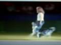 Crufts 2009 Heelwork to Music Winner - Tina Humphrey.