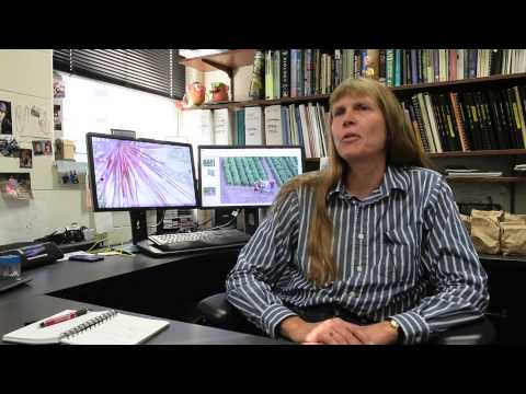 Shelley Jansky: Eyes in the Sky