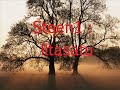 Steen1 - Iltasatu