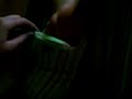 tampon pranks