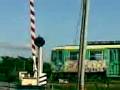 videos de Passaggio a livello di Punta Moro va in tilt