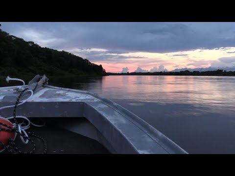 Pantanal - das weltgrößte Sumpfgebiet in Gefahr