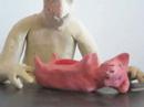 videos de Cloning-Organ Harvesting