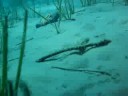 Triton Scuba Diving Centre Video