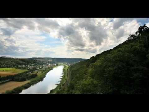 teutoburger - Von fliegenden Nachjägern bis hin zu mächtigen Hornträgern im Wisentgehege Hardehausen - faszinierende Eindrücke warten auf Besucher des Naturparks Teutoburg...