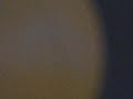 Horratio Go To Hella . (CHARLES HAYWARD).RECORD  RARE 12