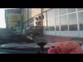 Car Drives Through Store Windows