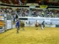 pbr rock mc dolnald