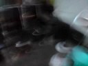 ebrio estupido