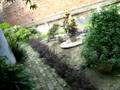 videos de My Yard