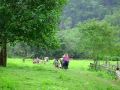 Villagers flee