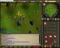 Ninjastorm40\ Ninjastorm40\