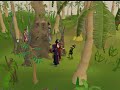 Runescape Fake Buster killing an Evil Tree