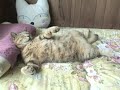 tsuneo is sleeping with a pillow 2