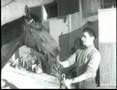 ribot