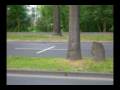 videos de examen_carol_eltit.wmv