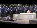 Cat on a Hot Tin Roof