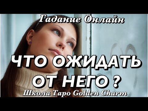 К чему снится Президент во сне по 90 сонникам! Заколки для волос своими