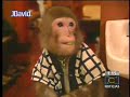 Monos Meseros - Noticias RCN, Octubre 6/2008 Monos Meseros - Noticias RCN, Octubre 6/2008
