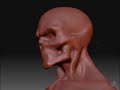 ZBrush3 RAKUGAKI 070819