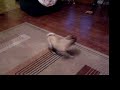 want to eat.MOV