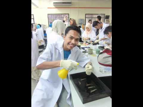 how to isolate pseudomonas from soil