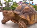 AQUATICA MAKES A SPLASH: SeaWorld's New Waterpark ...