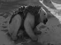 His dark materials - Norther lights