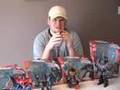Transformers Animated Series Review