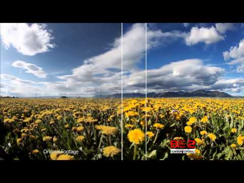 Sony Xperia Z Display Explained
