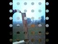 Click here to watch this video Gotowa skocznia zalesie-schanze.