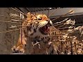 Art:21 | Cai Guo-Qiang