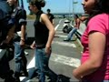 [roma, no bush] Bloccato autobus proveniente da Cosenza