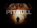 Pitbull – Last Night ft. Havana Brown & Afrojack