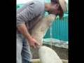 Stone balancing - Adrian Gray Stone balancing - Adrian Gray