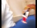 PLAYMOBIL FUN