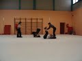 Les acrobates ^^