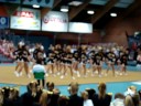 NRC Tigers, Senior Briliant