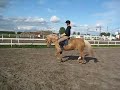 Napsu ravi