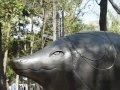 videos de Leonora Carrington Exposición Urbana en la Ciudad de México