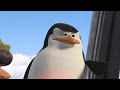 Madagascar 2 trailer 2 HD