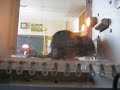 eddy pushing the lever in the skinner box with the light on