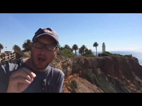 Orphans of Apollo -