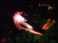 videos de Charmed falling.
