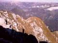 videos de monte messer bellssimo!