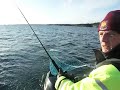 L�gdlund med R�dingsdrill V�ttern 2008