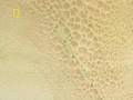 National-Geographic-