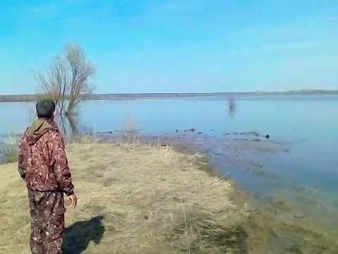 Рыбалка на разливах дона Рыбалка на разливах дона