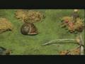 videos de OKUPA